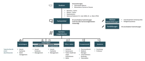 Übersicht Karrierekompass Humanmedizin